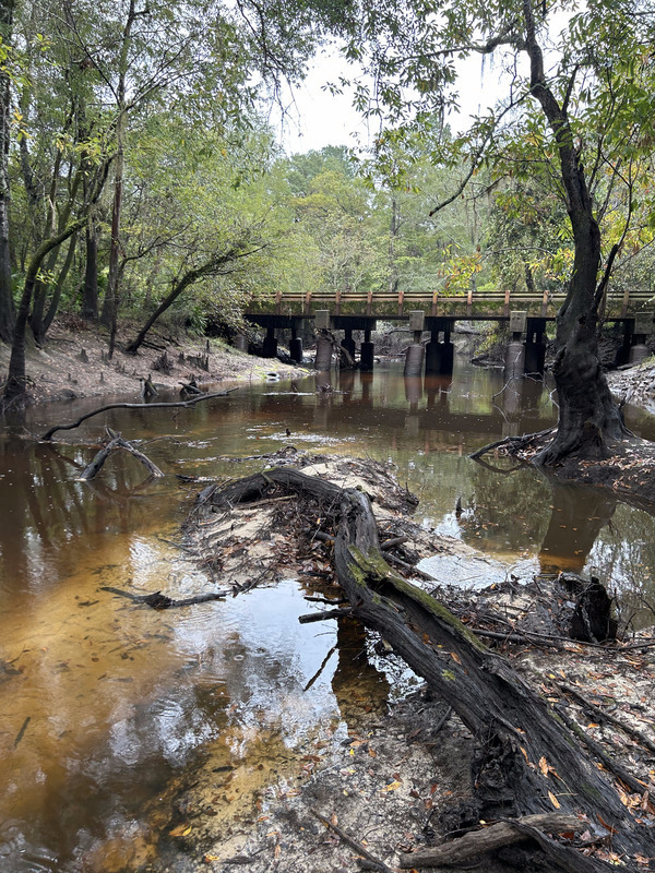 [Franklinville Landing, Withlacoochee River 2023-10-12]