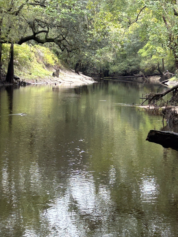 [Staten Road, Withlacoochee River @ Staten Road 2023-10-12]