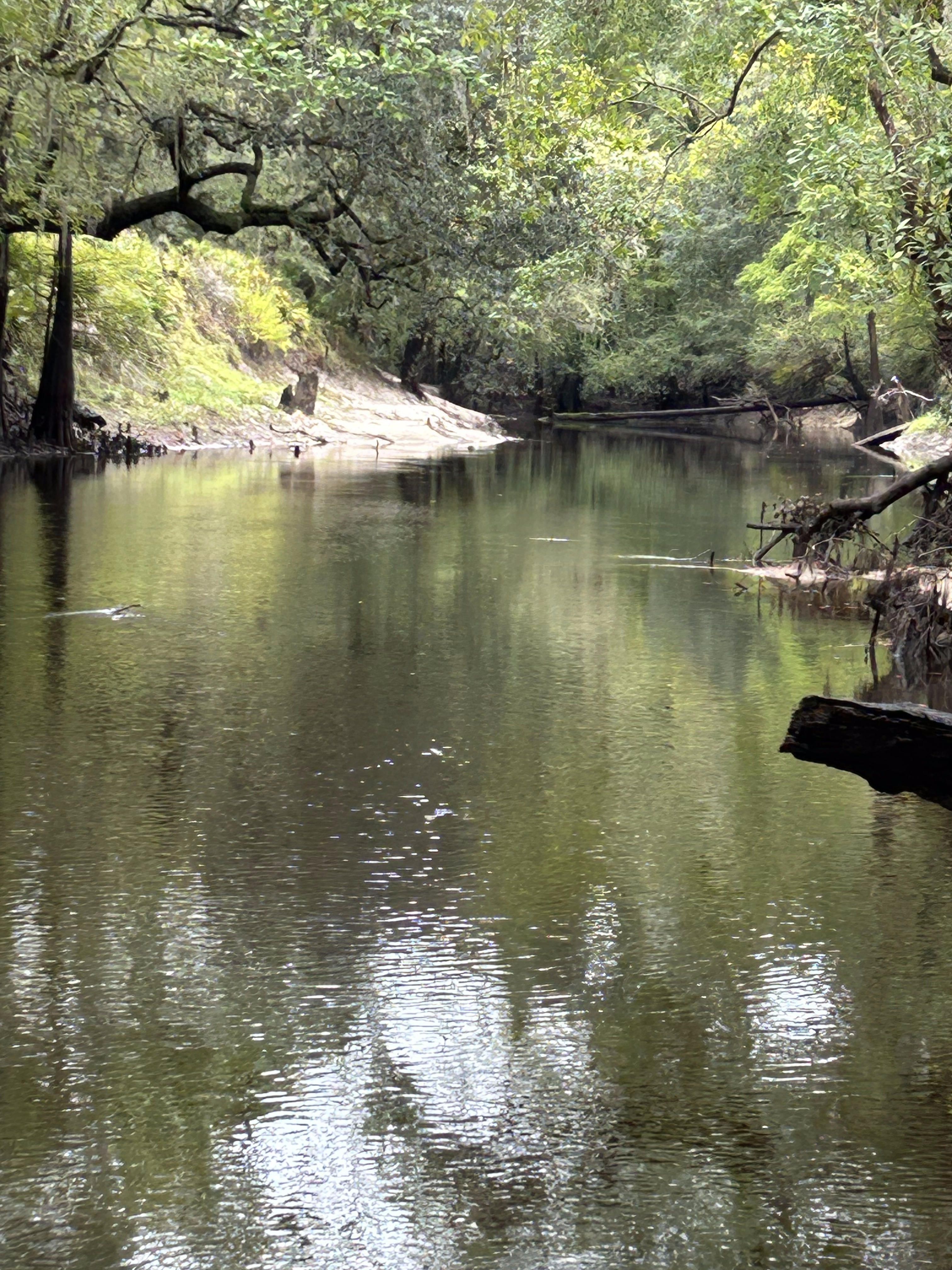 Staten Road, Withlacoochee River @ Staten Road 2023-10-12