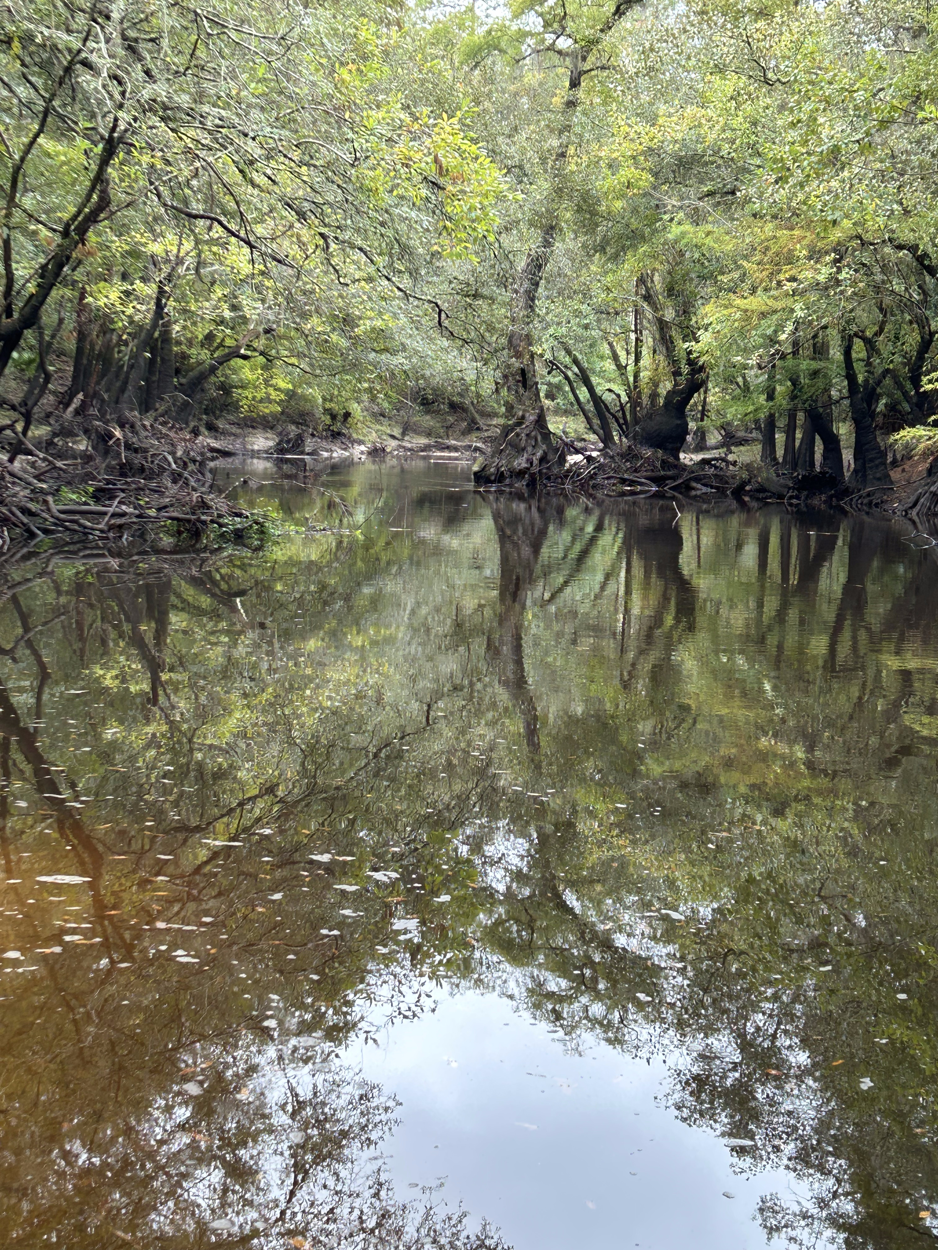 Staten Road other, Withlacoochee River @ Staten Road 2023-10-12