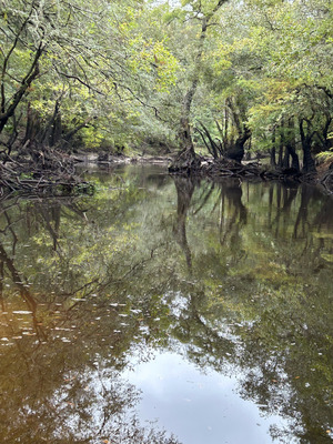 [Staten Road other, Withlacoochee River @ Staten Road 2023-10-12]