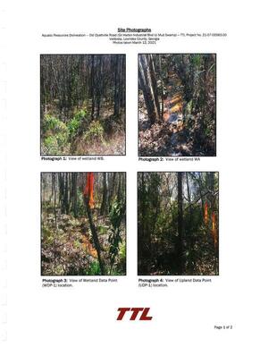 [Photograph 3: View of Wetland Data Point Photograph 4: View of Upland Data Point]