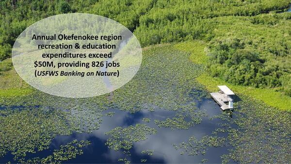 Annual Okefenokee region recreation & education expenditures exceed S$50M, providing 826 jobs (USFWS Banking on Nature)