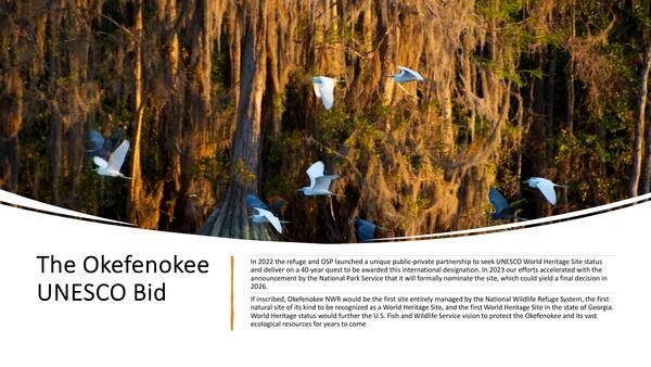 The Okefenokee UNESCO Bid