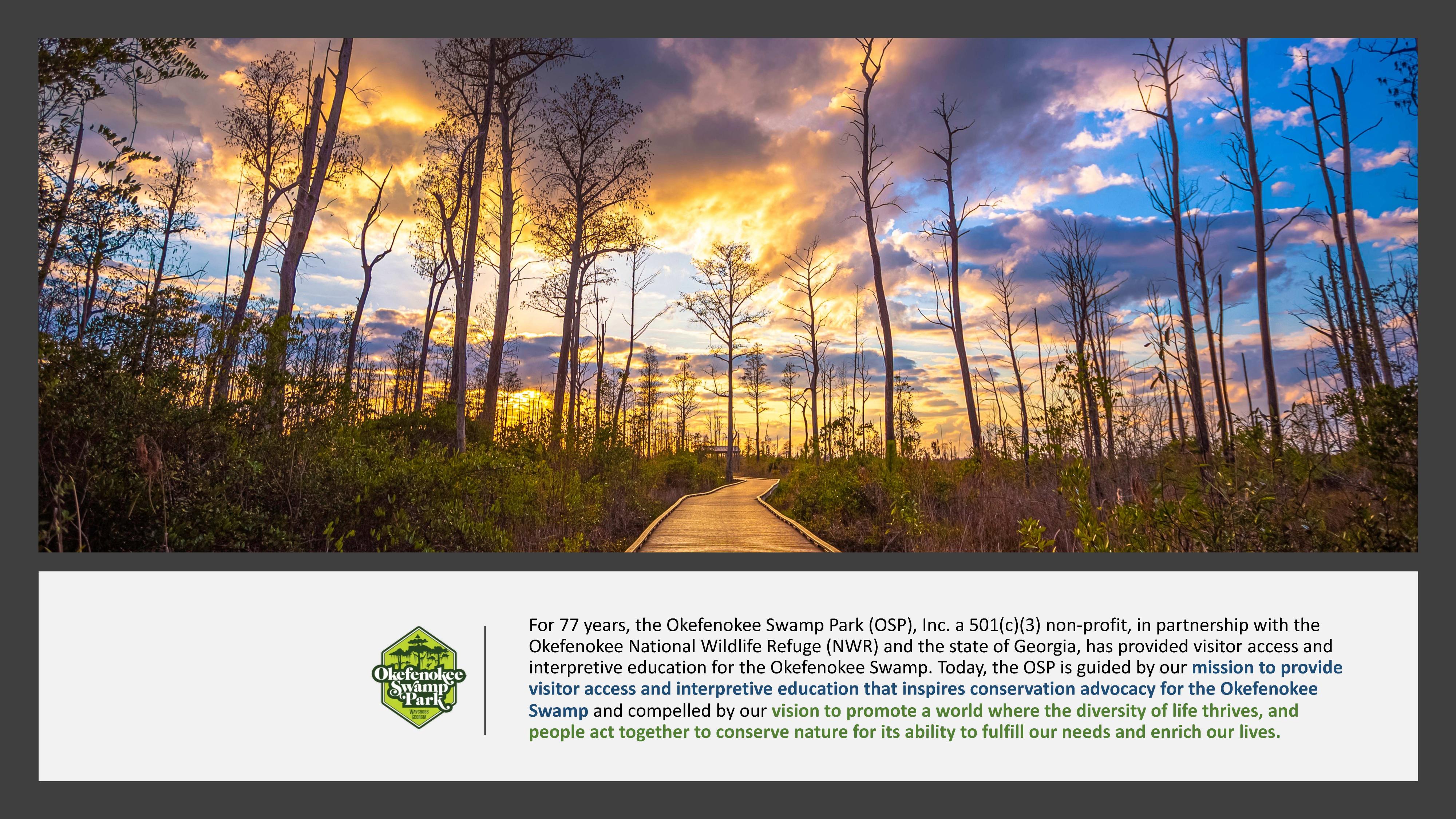 For 77 years, the Okefenokee Swamp Park (OSP), Inc. a 501(c)(3) non-profit, in partnership with the Okefenokee National Wildlife Refuge (NWR) and the state of Georgia, has provided....