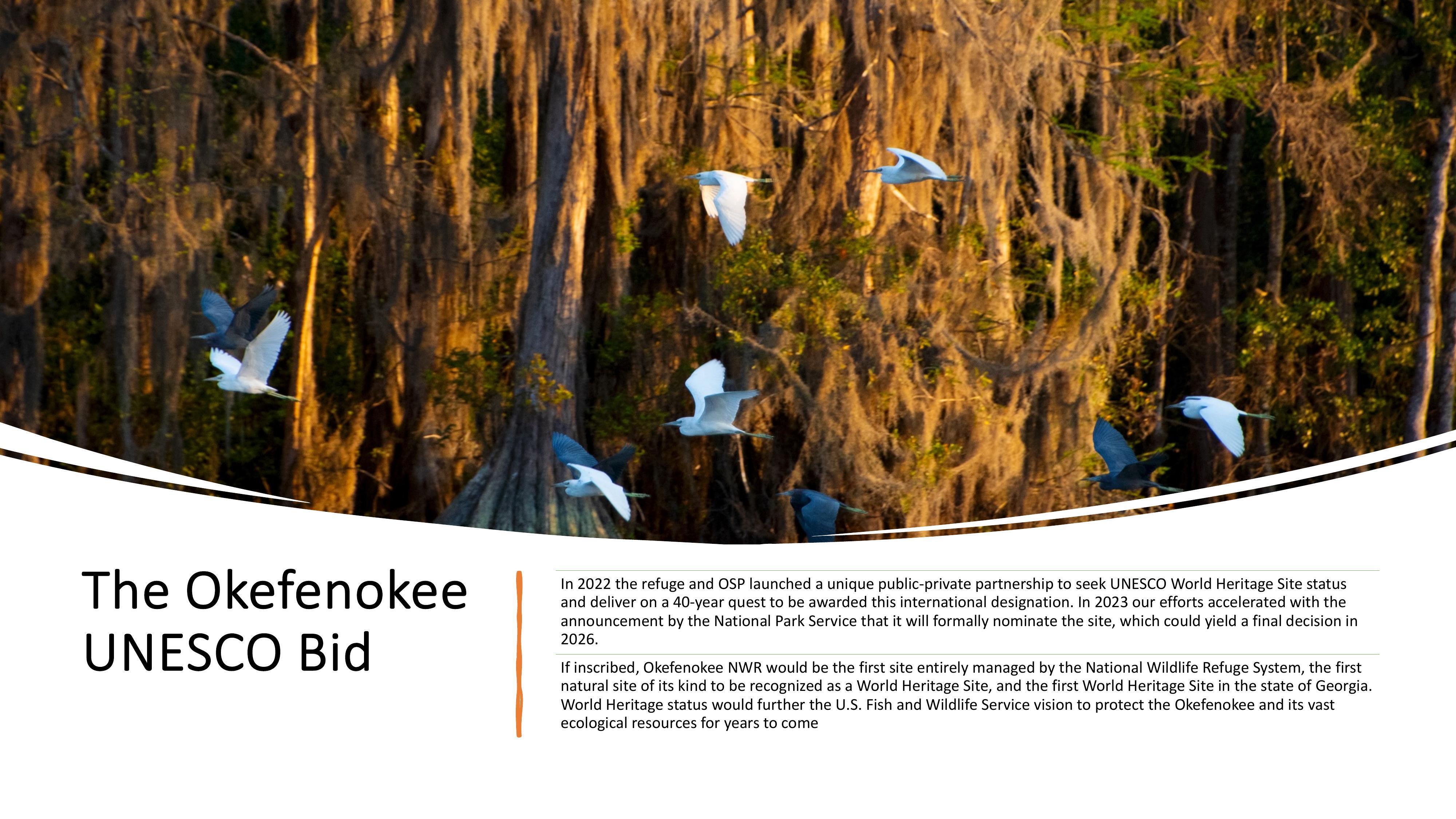 The Okefenokee UNESCO Bid