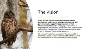 [The Vision OSP ...an interdependent economic development model ... working collaboratively through the prism of one of the world’s great natural resources. We believe it is vital to recognize that the sustainability of Okefenokee is only as great as the strength and resilience of the local communities and stakeholders that surround it.]