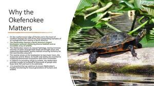 [Why the Okefenokee Matters]