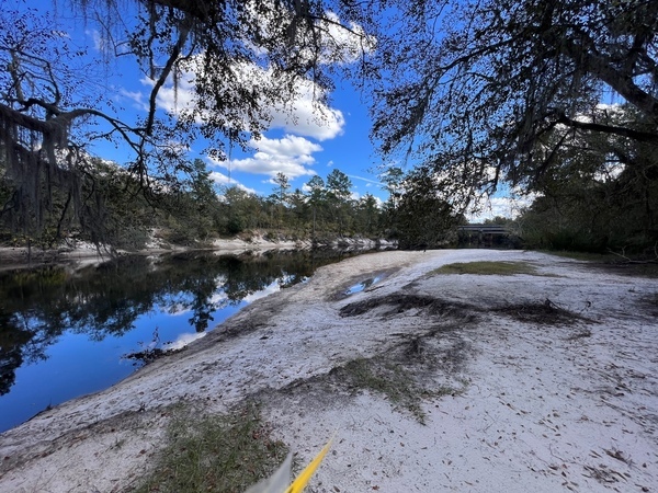 [Naylor Park Beach, Alapaha River 2023-10-19]