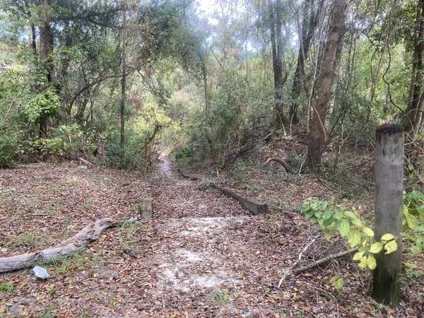 [Sullivan Launch, Withlacoochee River 2023-10-19]