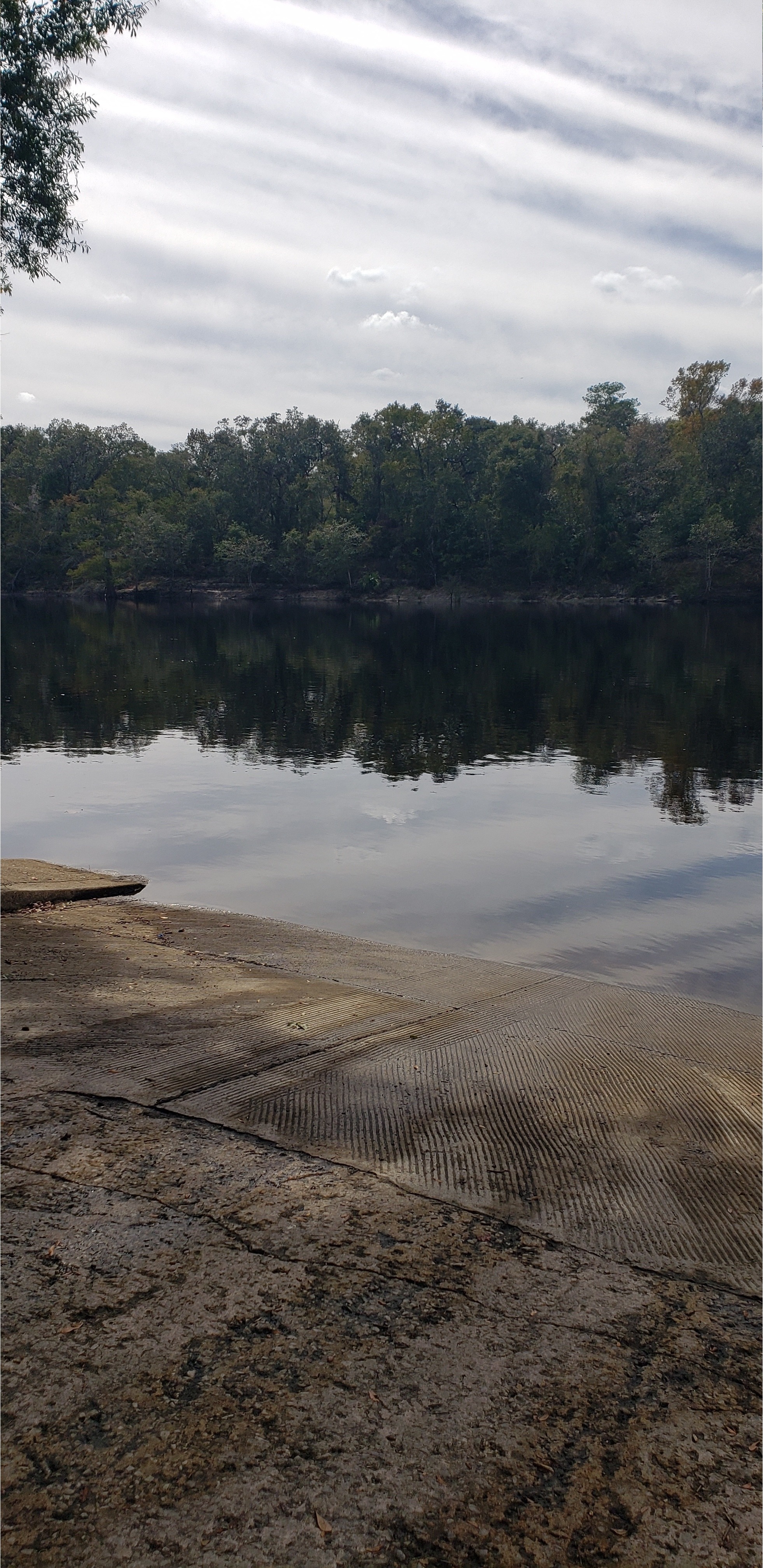 Collection site, Ivey Boat Ramp, Branford, Suwannee River 2023-10-19