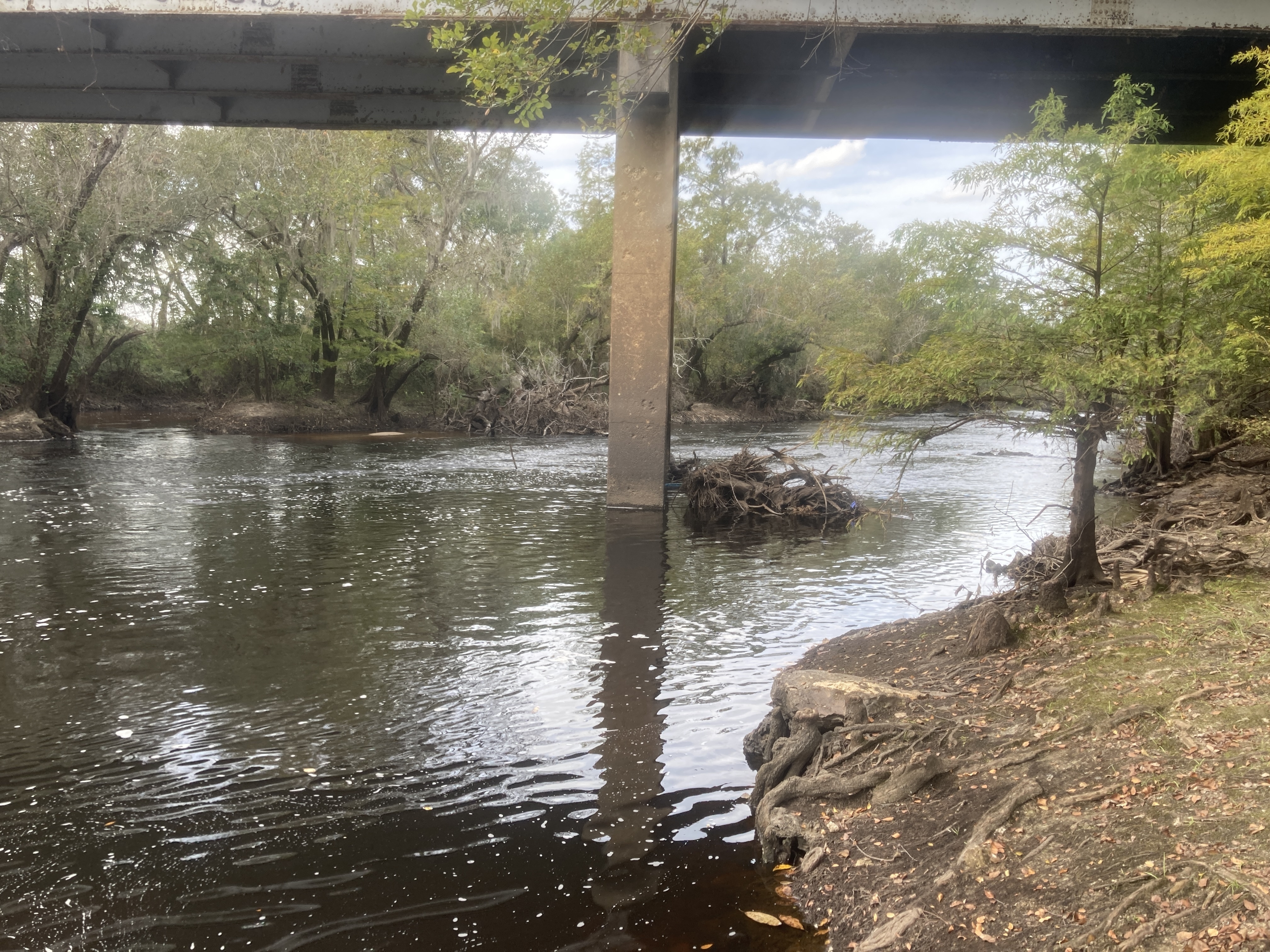 Upstream, Nankin Boat Ramp, Withlacoochee River 2023-10-19