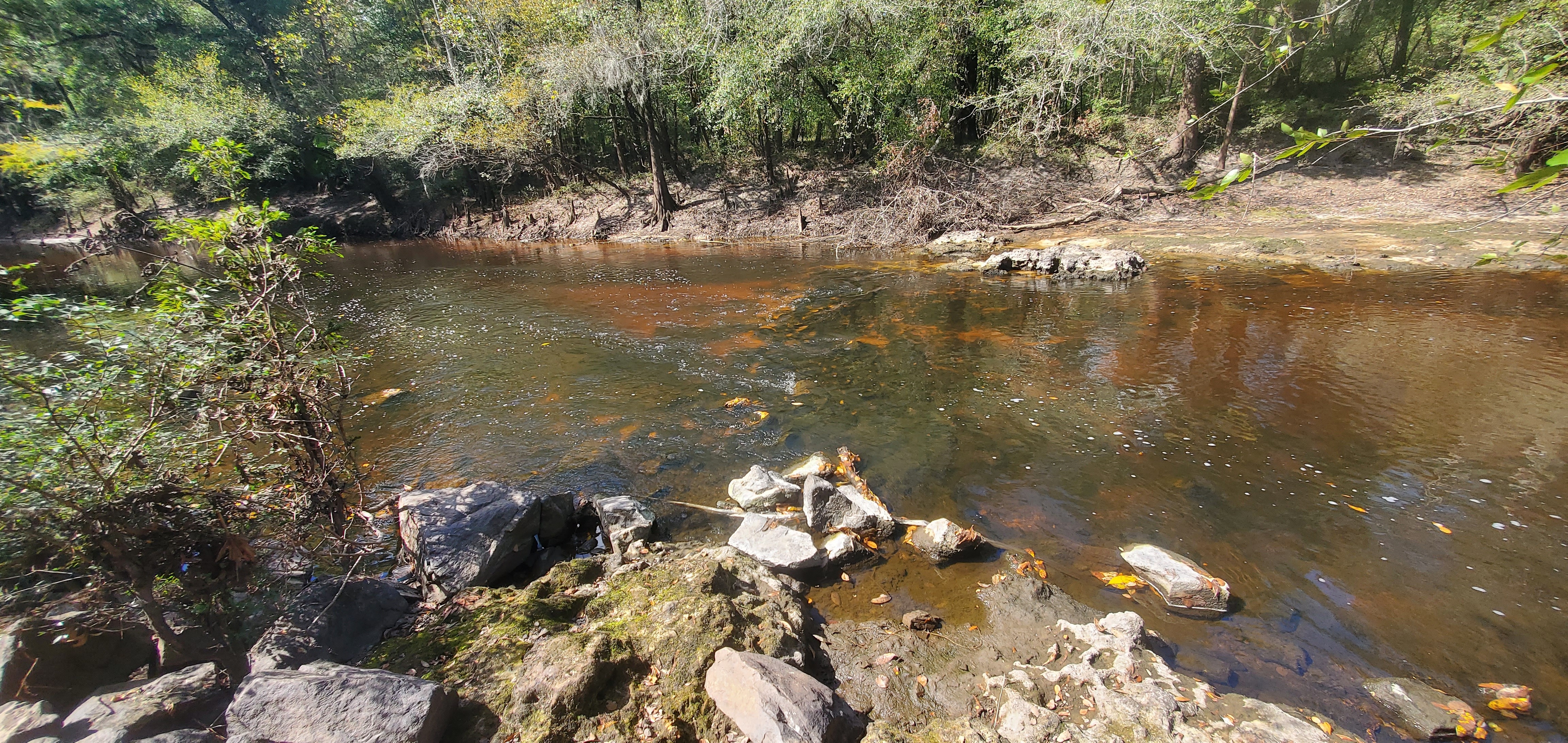 Fish Weir, Troupville Boat Ramp, Little River 2023-10-19, 2023:10:19 13:54:16, 30.8515285, -83.3475360