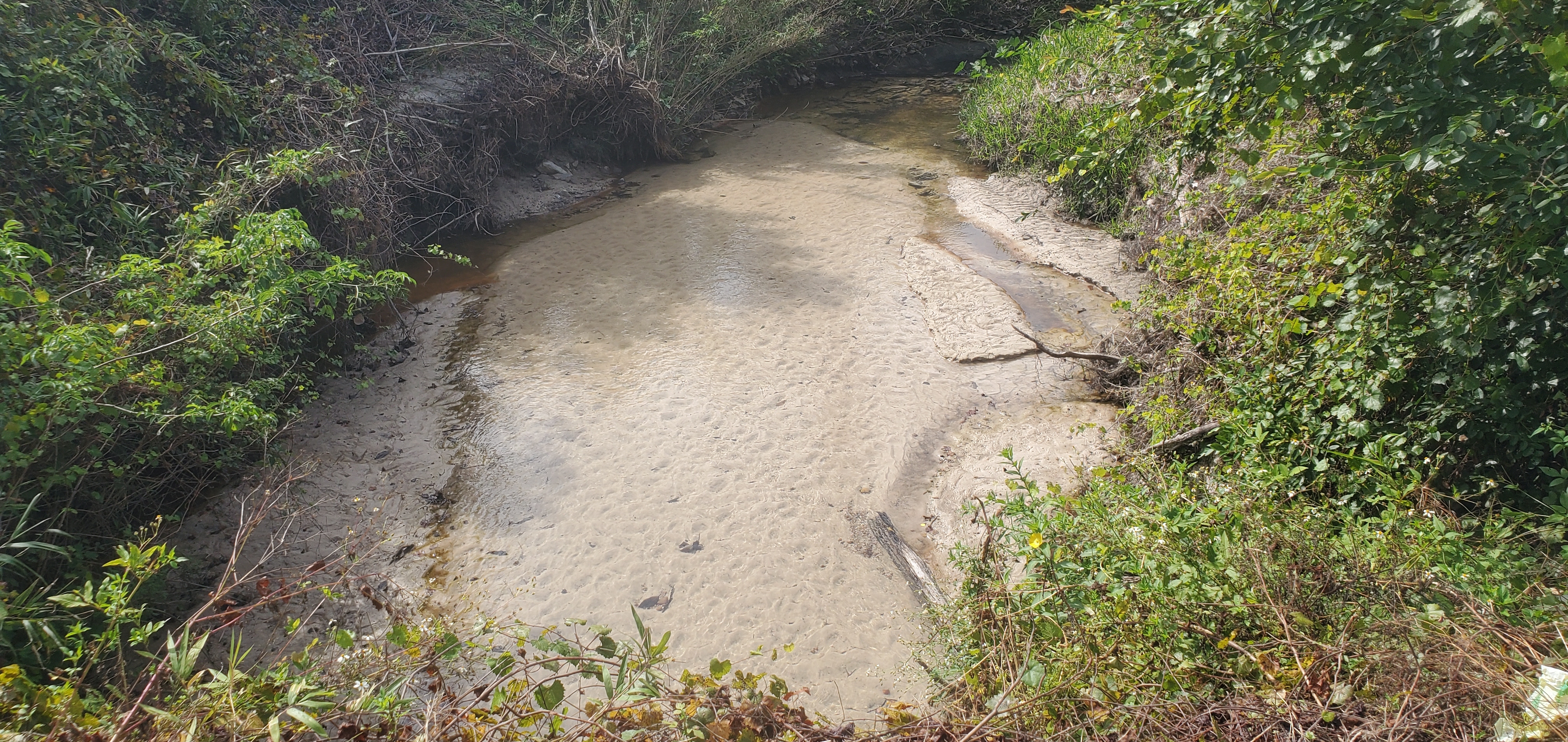 Downstream, Crawford Branch, Skipper Bridge Road 2023-10-19, 2023:10:19 14:26:51, 30.9471960, -83.2651710