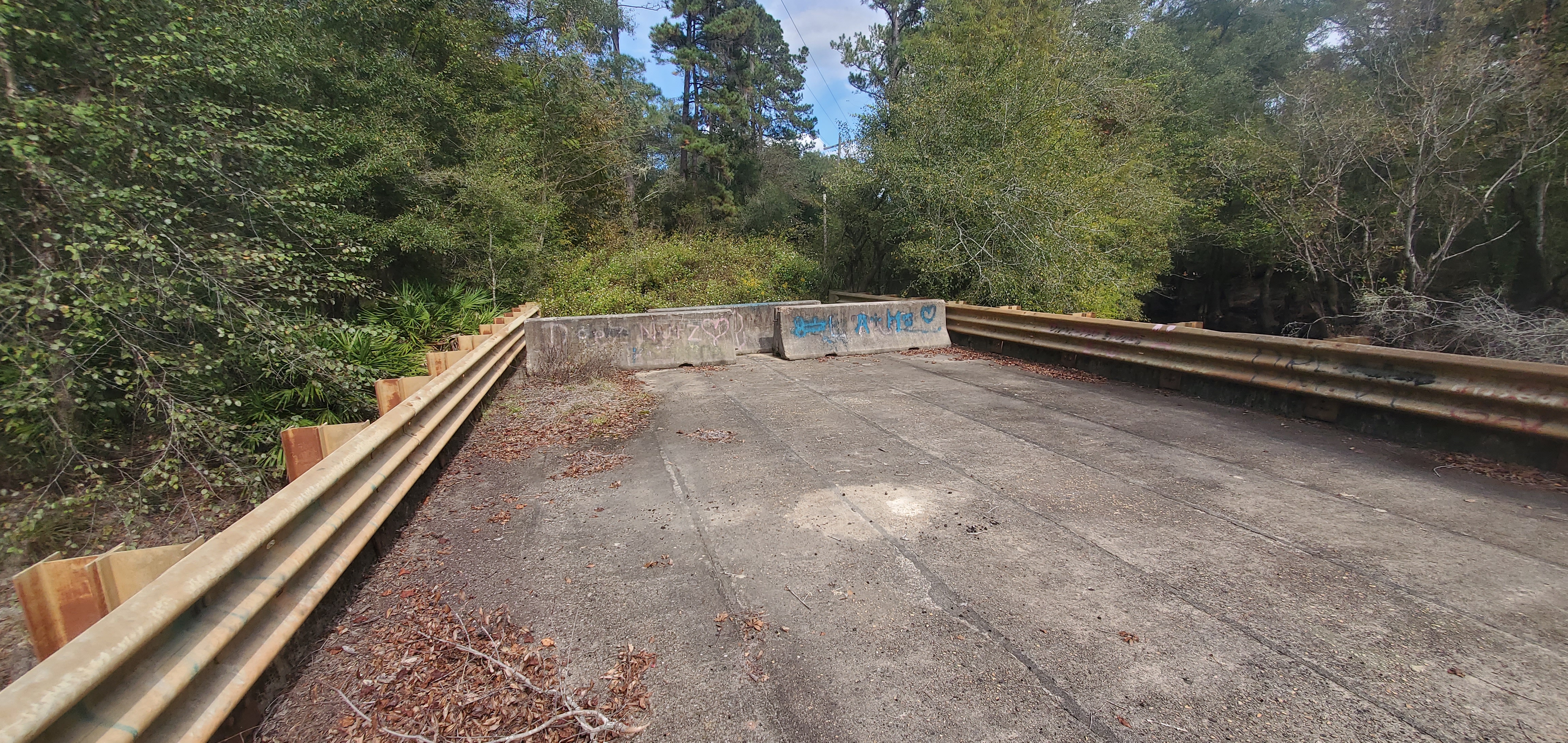 Tyler Bridge eastbound, Franklinville Landing, Withlacoochee River 2023-10-19, 2023:10:19 14:45:07, 30.9814386, -83.2675514