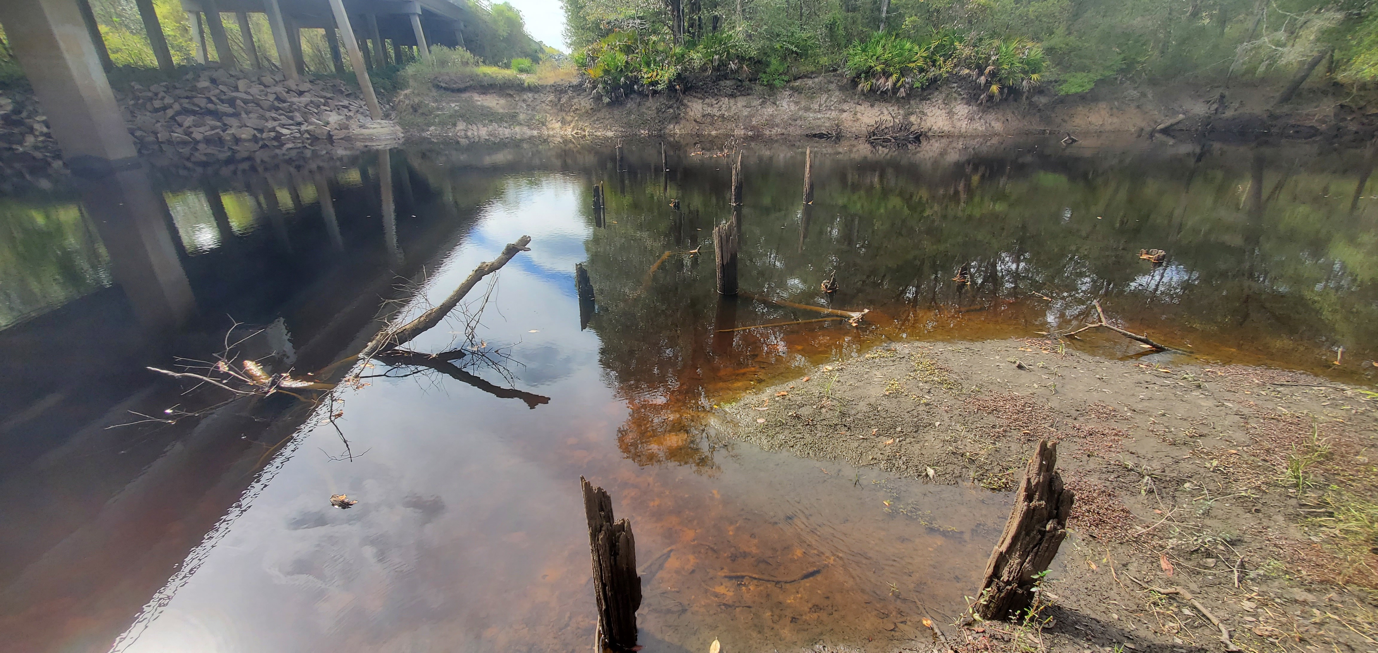 Piers of old bridge, Hagan Bridge, GA 122, Withlacoochee River 2023-10-19, 2023:10:19 14:56:10, 31.0139773, -83.3017154