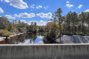 [Downstream, Lakeland Boat Ramp, Alapaha River 2023-10-19]