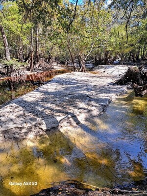 [Other, Sugar Creek 2023-10-19]