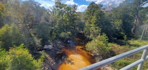 [GA 133, Withlacoochee River 2023-10-1920231019 134446, 2023:10:19 13:44:46, 30.8500127, -83.3396735]