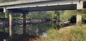 [Old bridge under Hagan Bridge, GA 122, Withlacoochee River 2023-10-19, 2023:10:19 14:55:10, 31.0136495, -83.3015058]