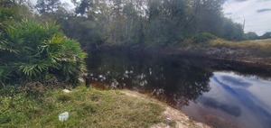 [Downstream, Hagan Bridge, GA 122, Withlacoochee River 2023-10-19, 2023:10:19 14:55:18, 31.0136495, -83.3015058]