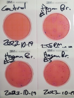 [Plates, Hagan Bridge, GA 122, Withlacoochee River 2023-10-19, 2023:10:20 15:06:33, 31.0126688, -83.2698247]