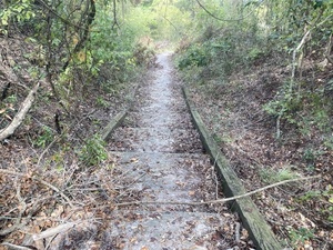 [Down, Sullivan Launch, Withlacoochee River 2023-10-19]