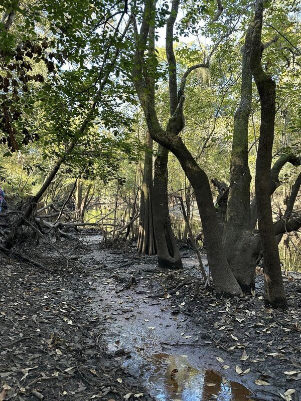 The slough cleaned up --Russell Allen McBride