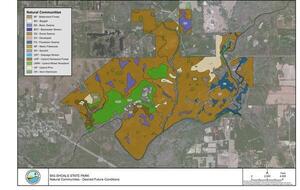 [Natural Communities, Desired Future Conditions, Big Shoals Maps Page 3]