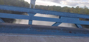 [Suwannee River from Hal W. Adams Bridge]