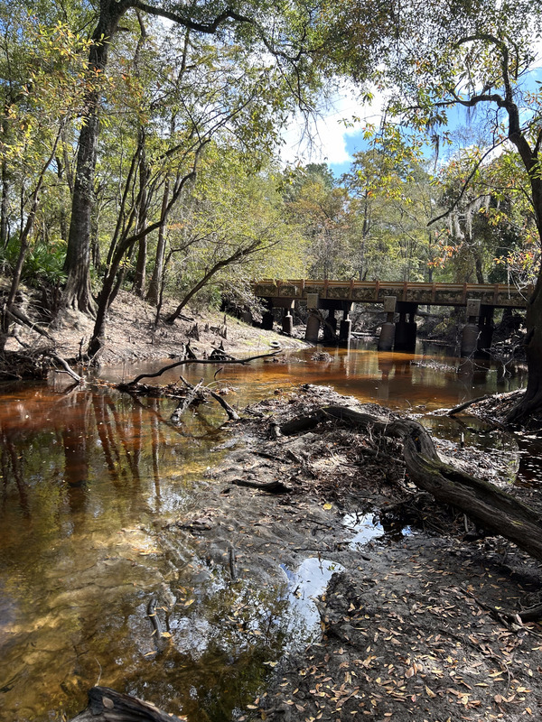 [Franklinville, Withlacoochee River @ Frankinville Road 2023-10-26]