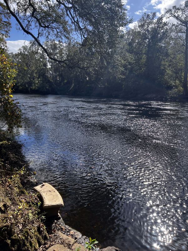 [Holly Point, Withlacoochee River @ NE Withla Bluffs Way 2023-10-26]