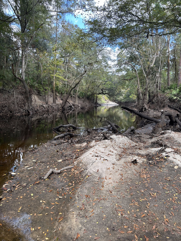 [Staten Road, Withlacoochee River @ Staten Road 2023-10-26]