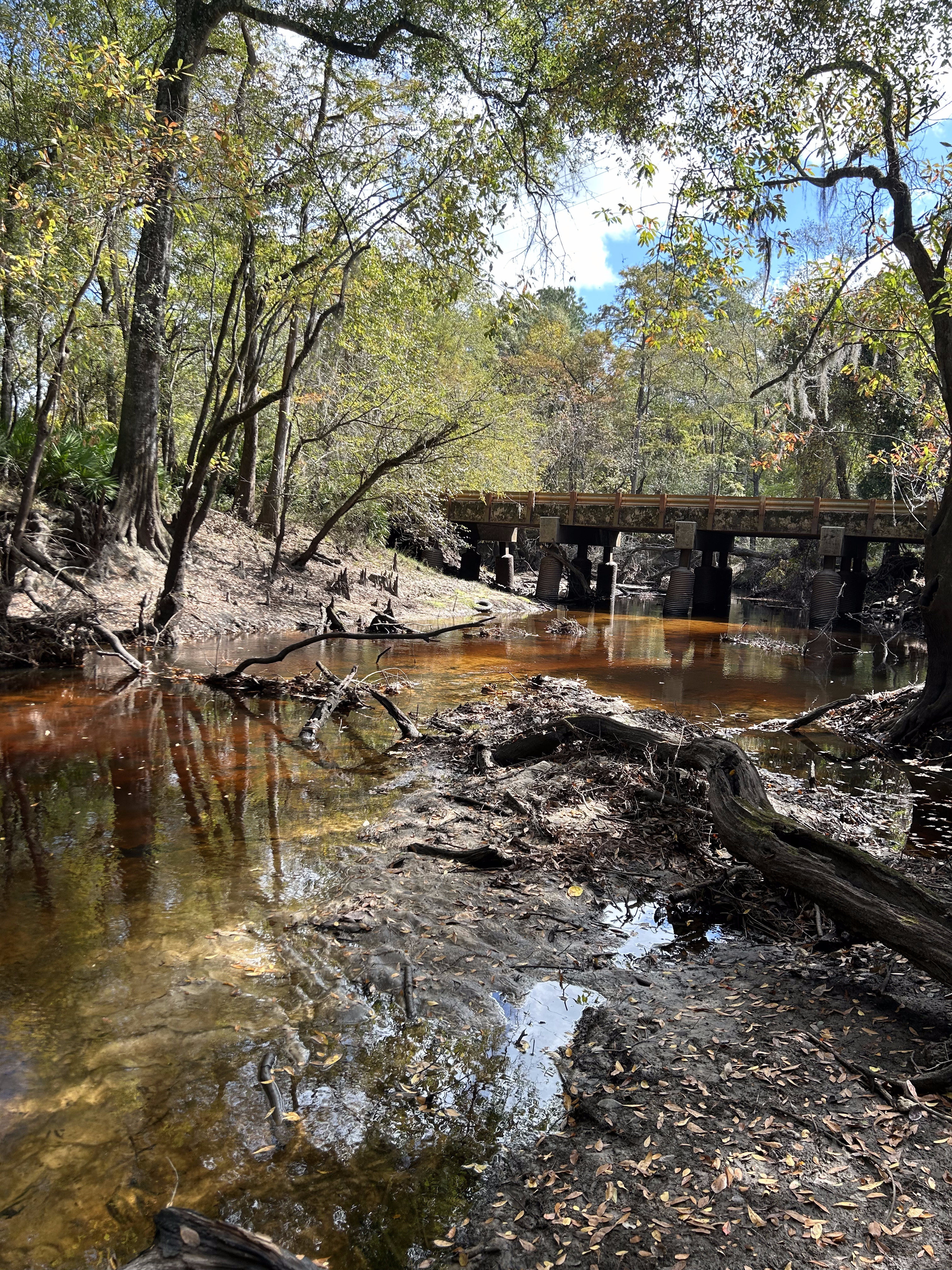 Franklinville, Withlacoochee River @ Frankinville Road 2023-10-26