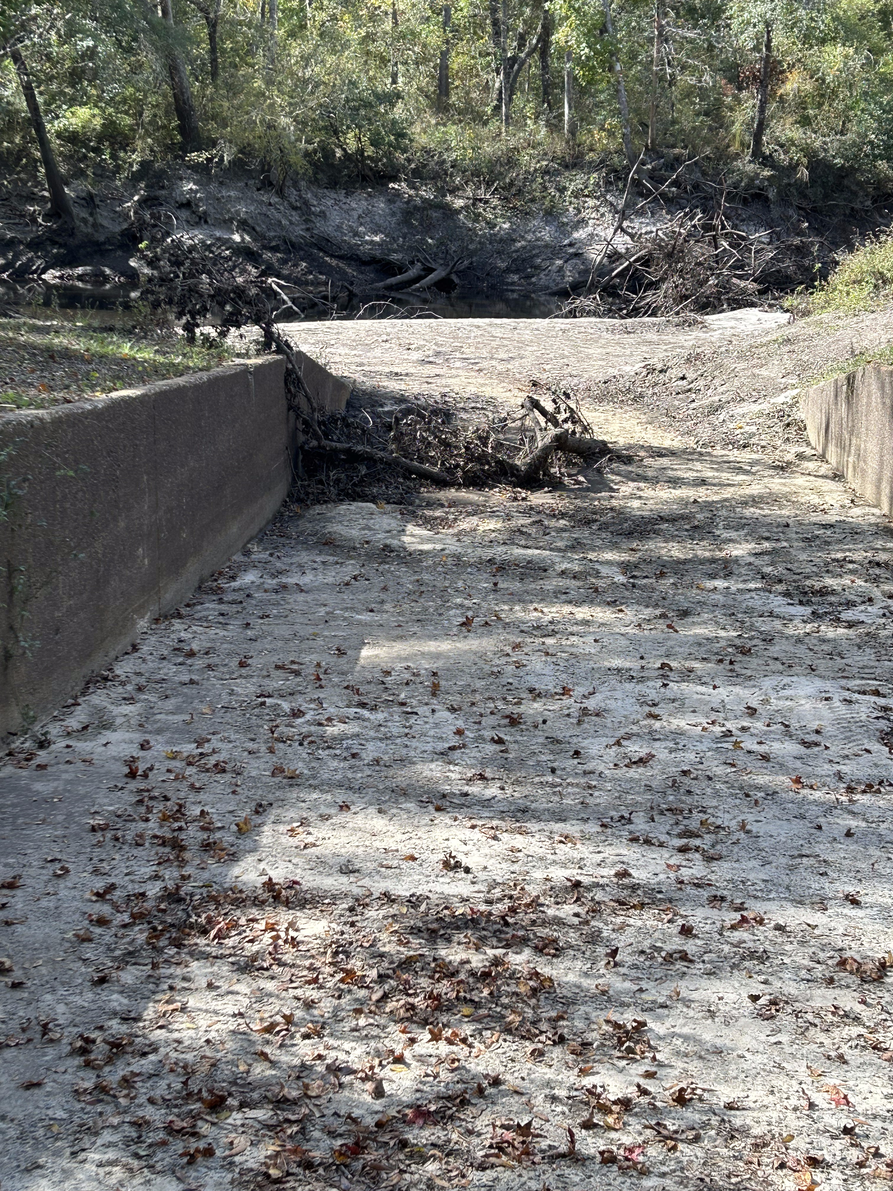 Langdale Park Boat Ramp, Withlacoochee River @ North Valdosta Road 2023-10-26