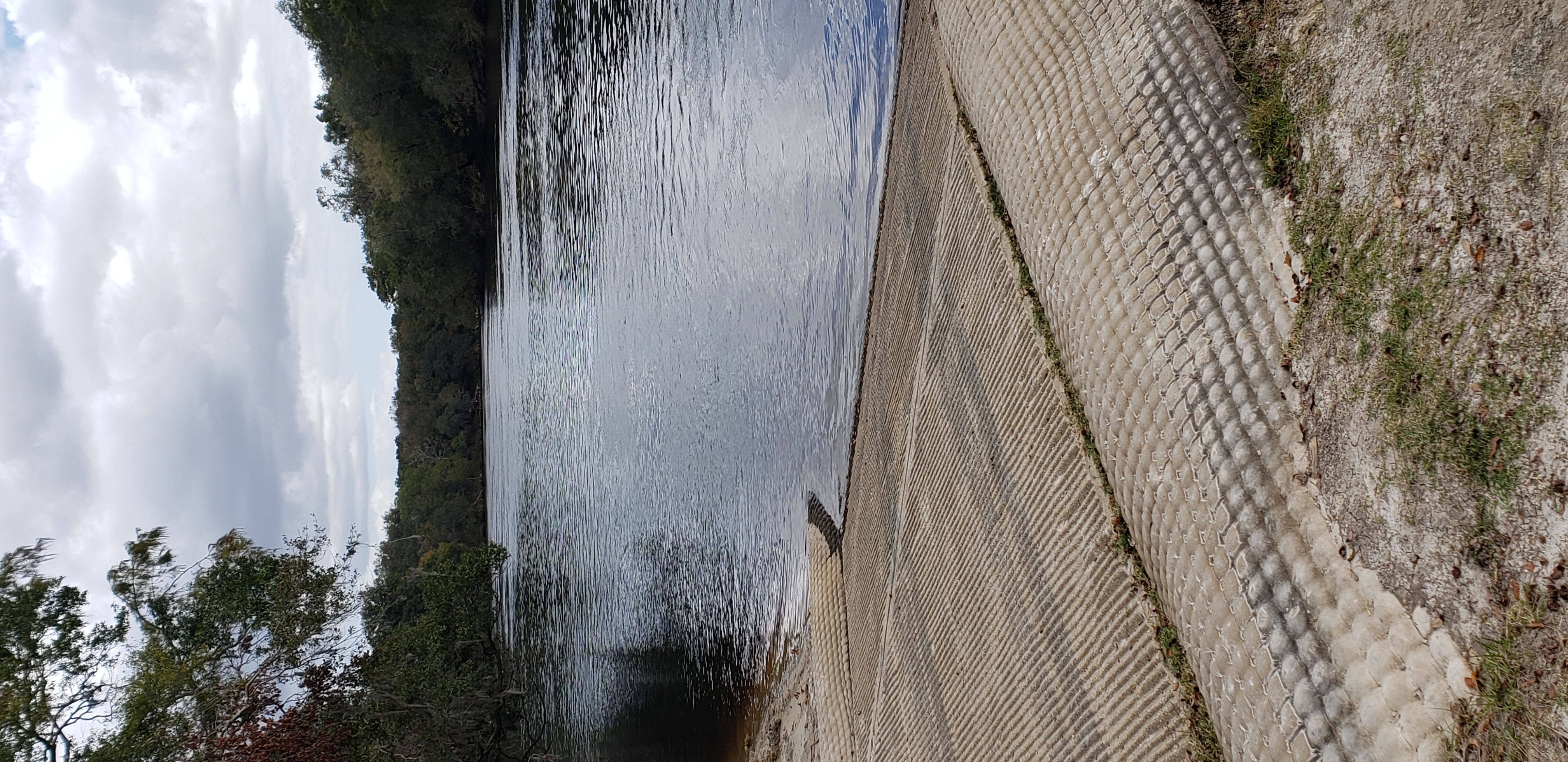 Royal Springs Ramp downstream, Suwannee River @ 157 Drive 2023-10-26