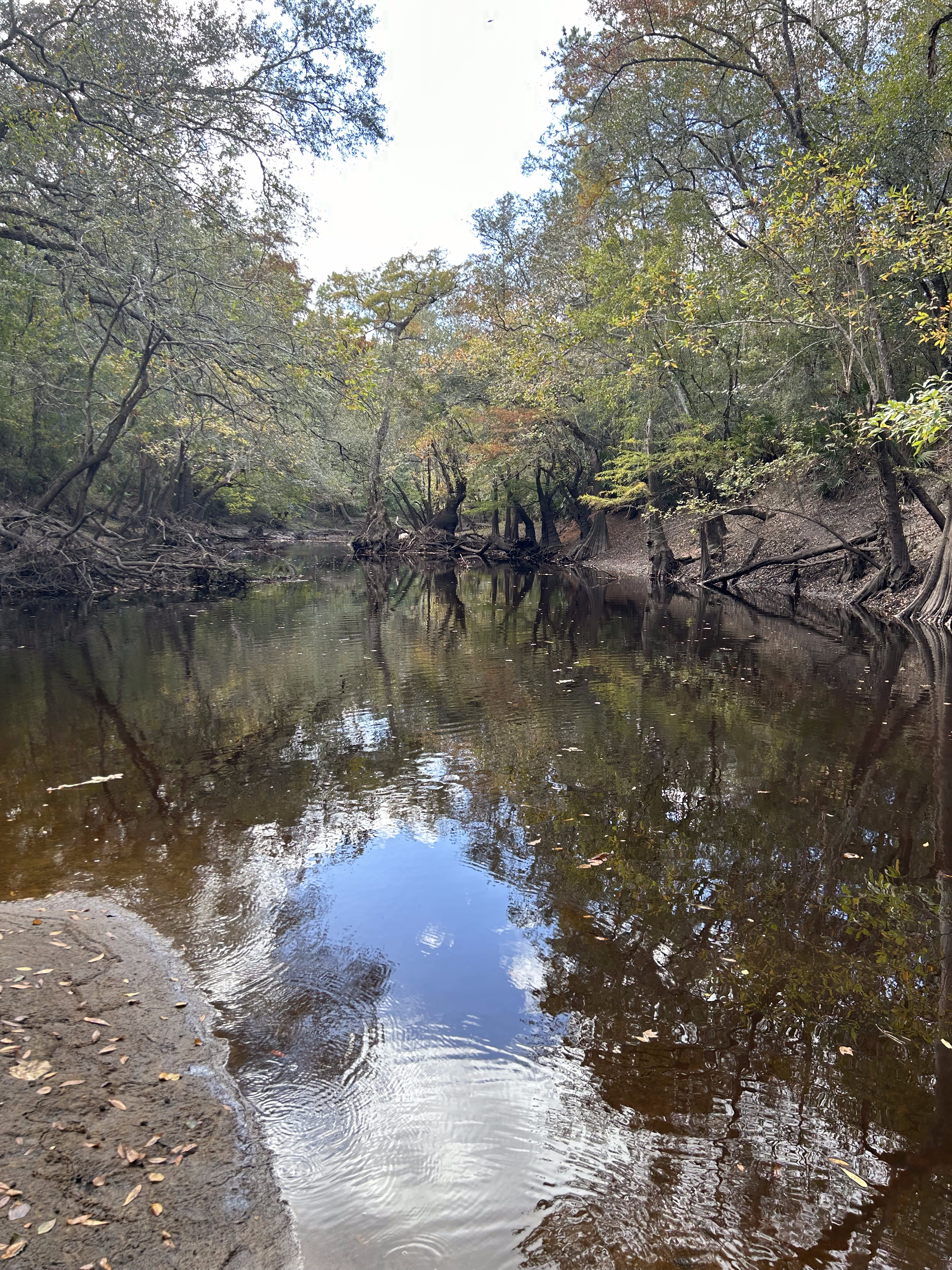 Staten Road other, Withlacoochee River @ Staten Road 2023-10-26