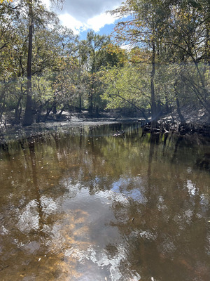 [Langdale Park Boat Ramp downstream, Withlacoochee River @ North Valdosta Road 2023-10-26]