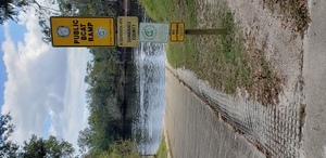 [Royal Springs Ramp, Suwannee River @ 157 Drive 2023-10-26]