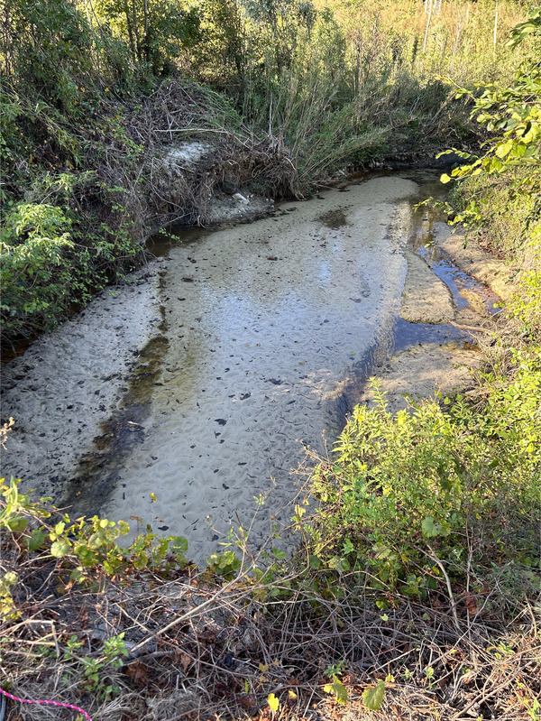 [Crawford Branch, Withlacoochee River, Skipper Bridge Road 2023-11-02]