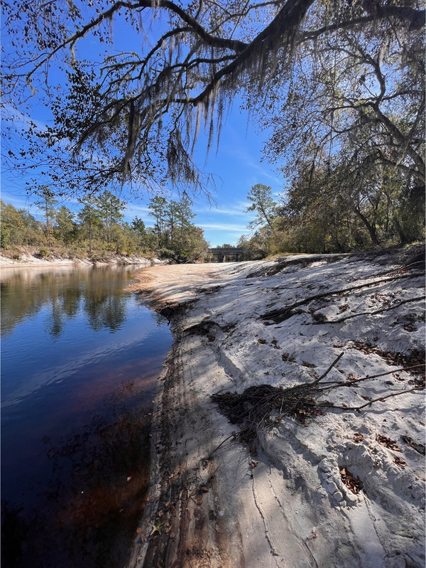 [Naylor Park Beach, Alapaha River @ US 82 2023-11-02]