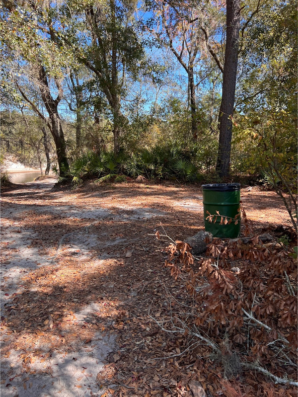 Naylor Park Beach, Alapaha River @ US 82 2023-11-02