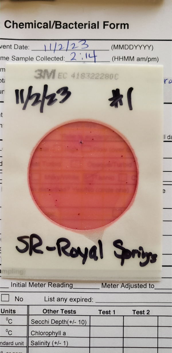 Plate1, Royal Springs Ramp 2023-11-02