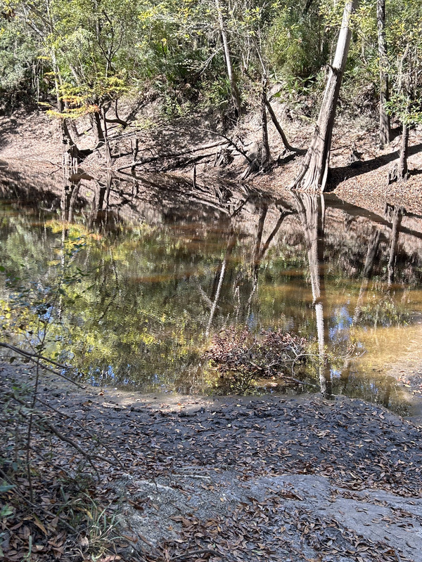 [Staten Road, Withlacoochee River 2023-11-02]