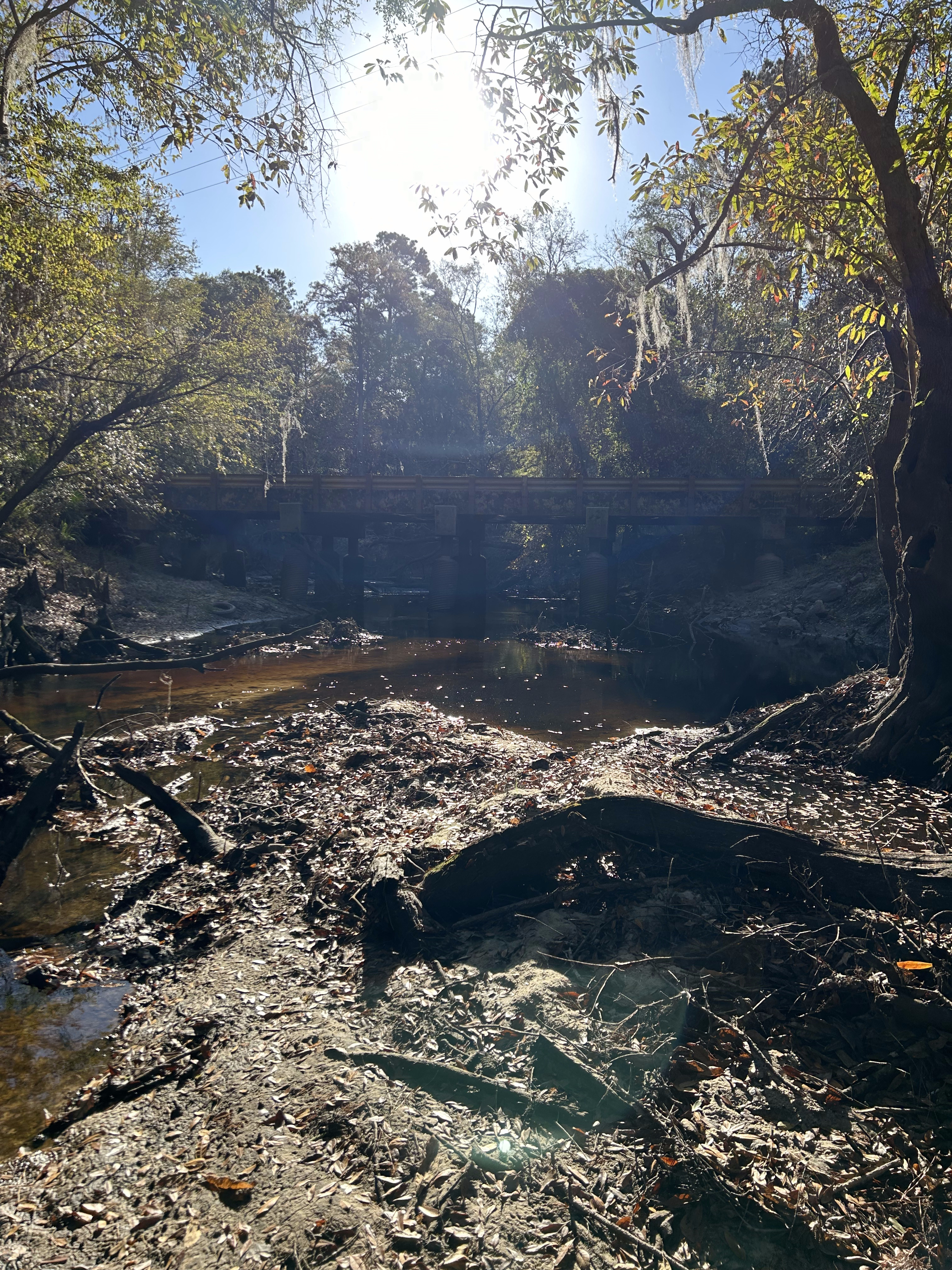 Franklinville, Withlacoochee River 2023-11-02