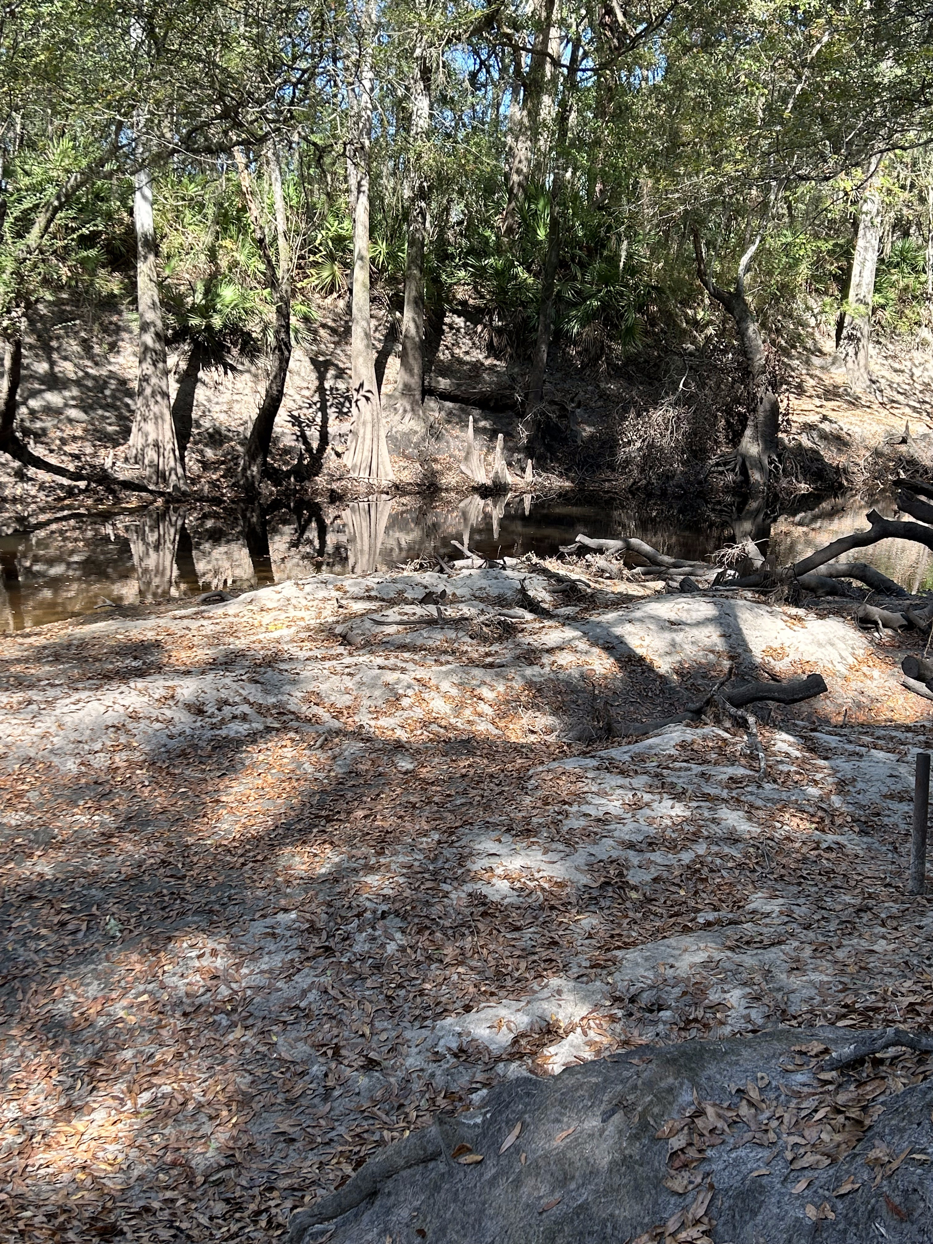 Sandbar, Staten Road, Withlacoochee River 2023-11-02