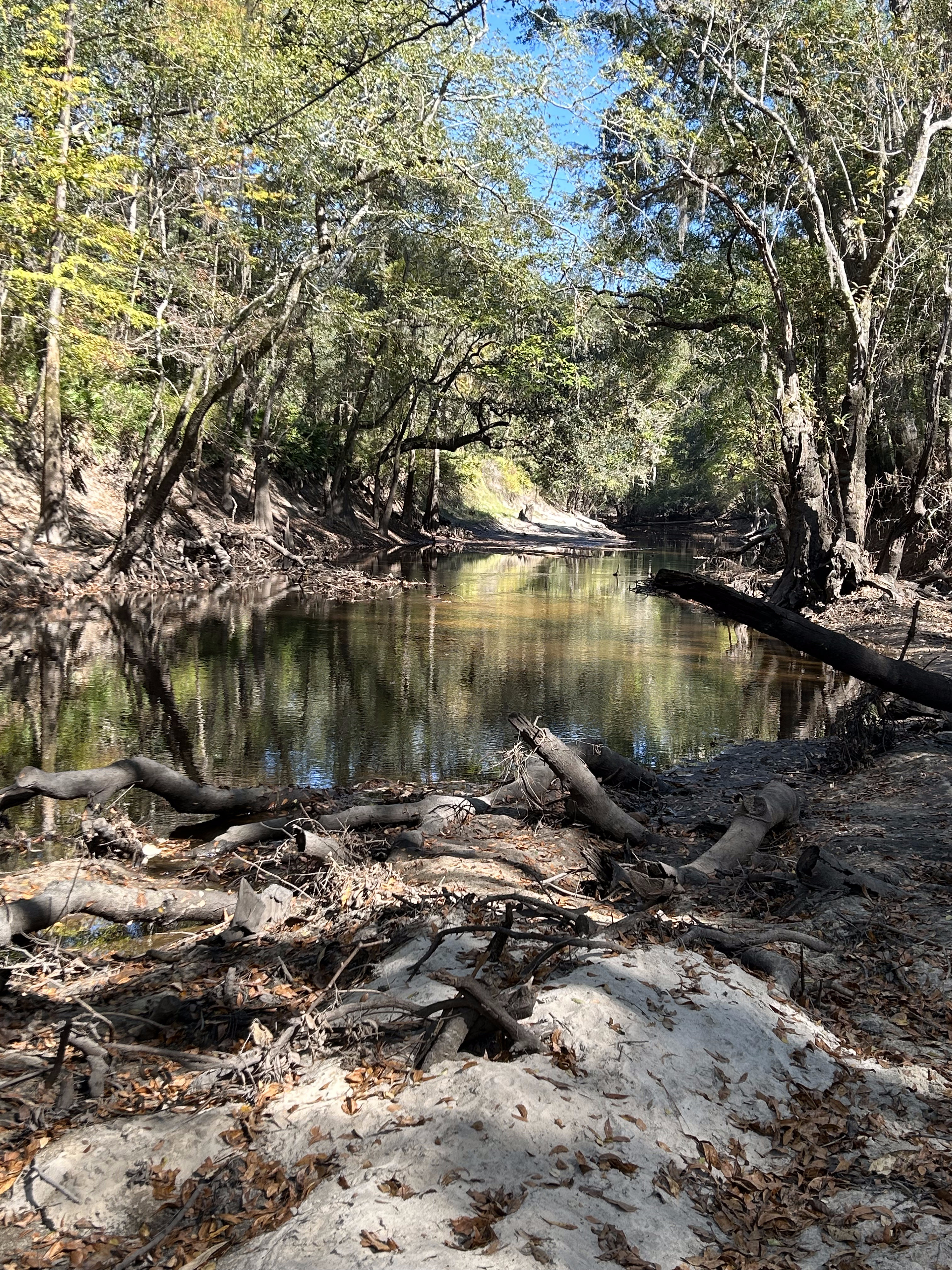 Upstream, Staten Road, Withlacoochee River 2023-11-02