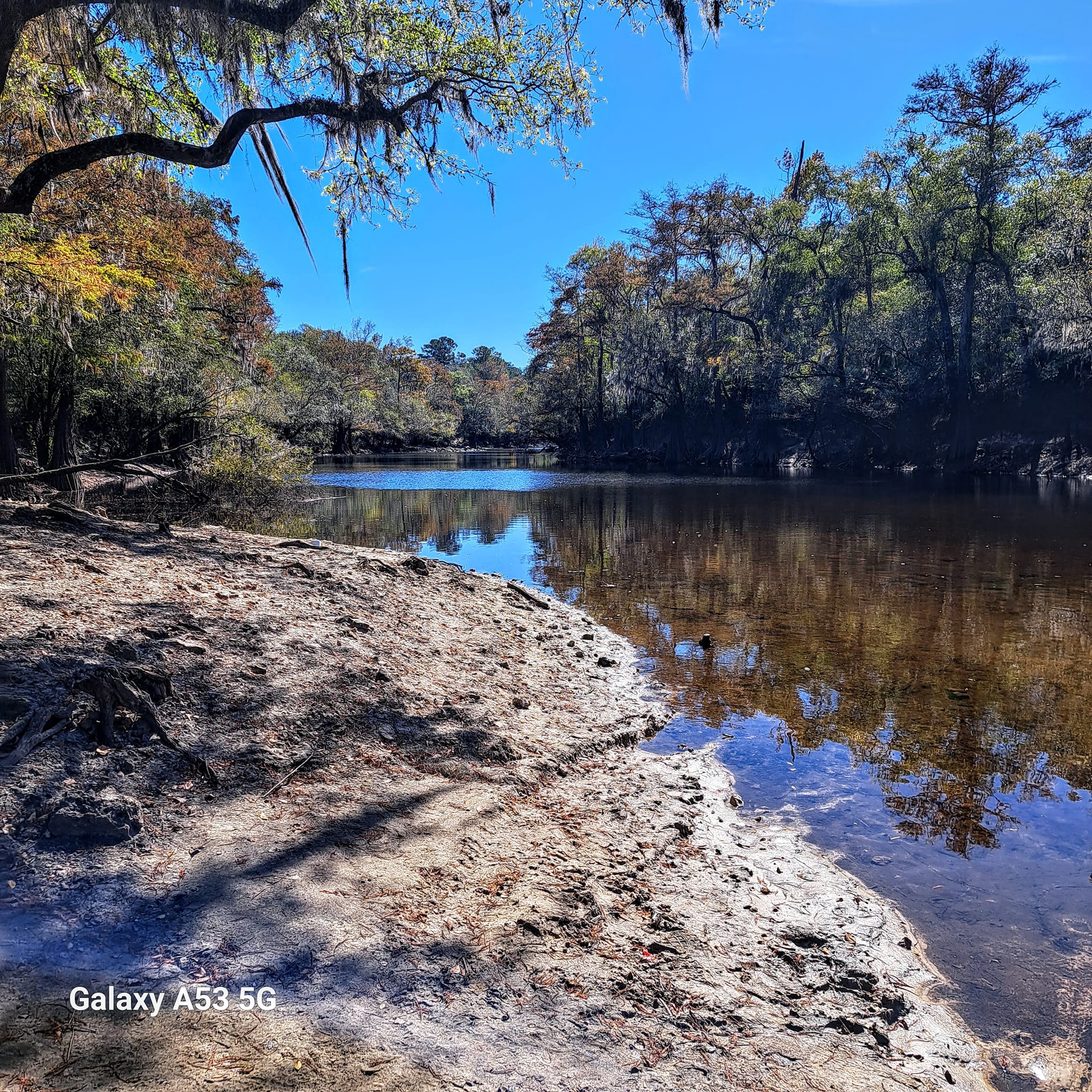 Knights Ferry Boat Ramp downstream, Withlacoochee River @ Knights Ferry Road 2023-11-02