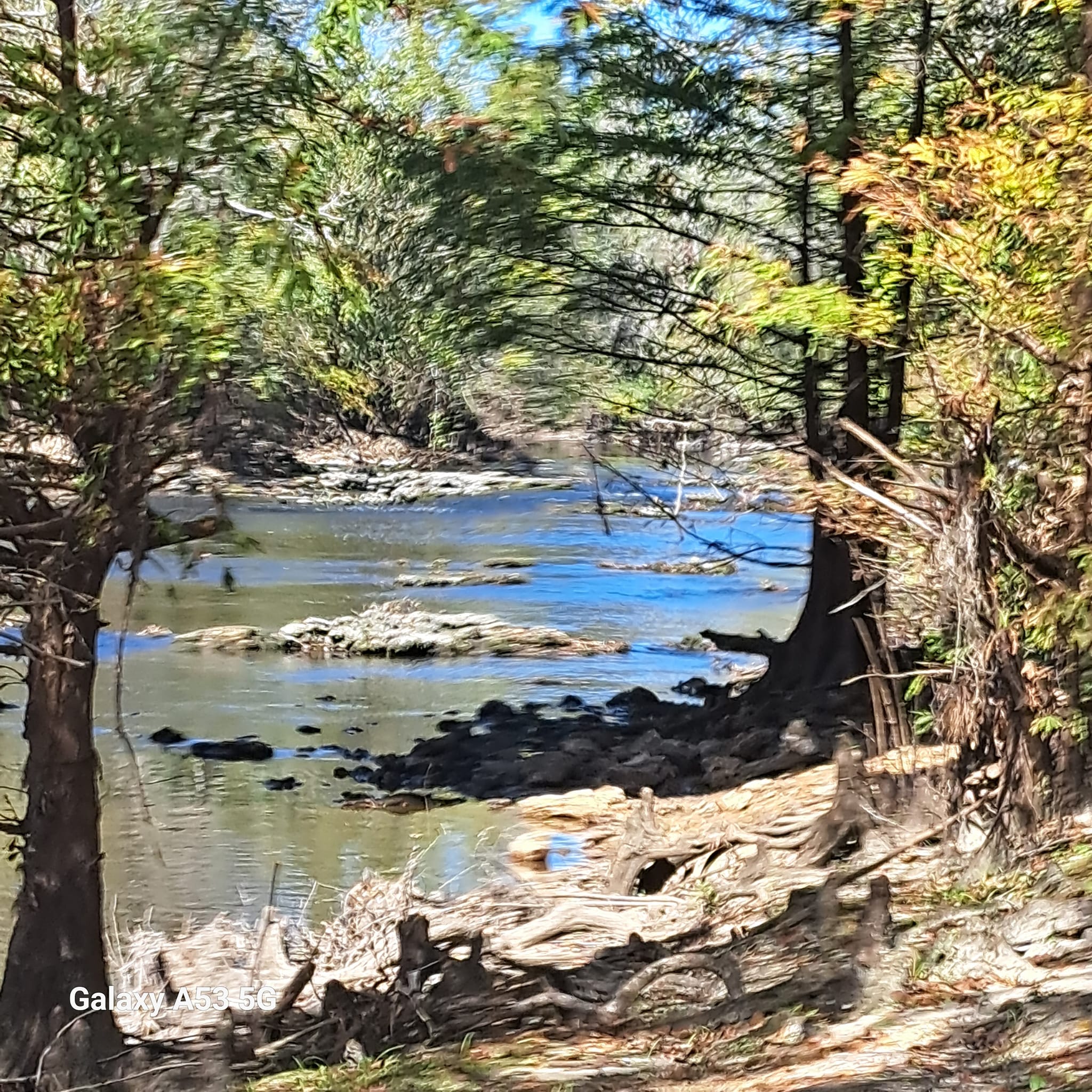 Shoals, Nankin Boat Ramp, Withlacoochee River @ Clyattville-Nankin Road 2023-11-02