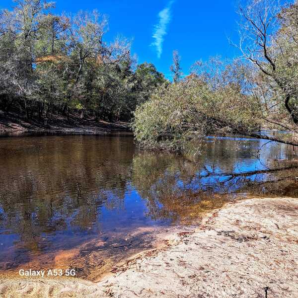 Knights Ferry Boat Ramp upstream, Withlacoochee River @ Knights Ferry Road 2023-11-02